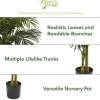 6.5ft. Potted Golden Cane Palm Tree