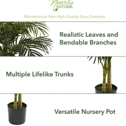 6.5ft. Potted Golden Cane Palm Tree