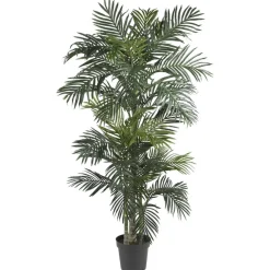 6.5ft. Potted Golden Cane Palm Tree