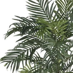 6.5ft. Potted Golden Cane Palm Tree