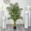 5ft. Potted Golden Cane Palm Tree