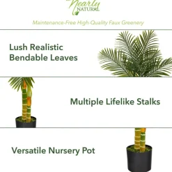 5ft. Potted Golden Cane Palm Tree