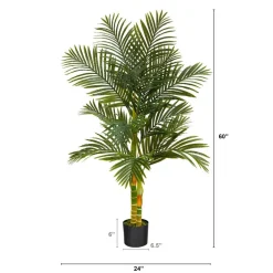 5ft. Potted Golden Cane Palm Tree