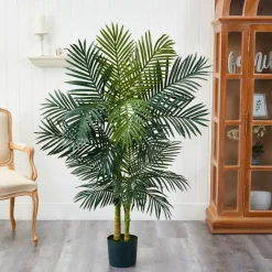 5ft. Potted Golden Cane Palm Tree