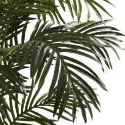5ft. Potted Golden Cane Palm Tree