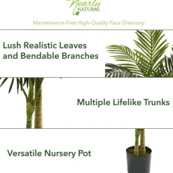 5ft. Potted Golden Cane Palm Tree