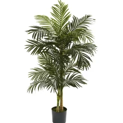 5ft. Potted Golden Cane Palm Tree