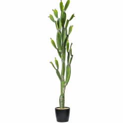 7ft. Potted Green Cactus