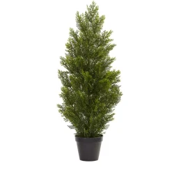 3ft. Potted Mini Cedar Pine Tree