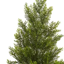3ft. Potted Mini Cedar Pine Tree