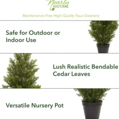 3ft. Potted Mini Cedar Pine Tree
