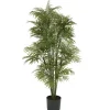4ft. Potted Parlour Palm Tree