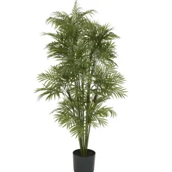 4ft. Potted Parlour Palm Tree