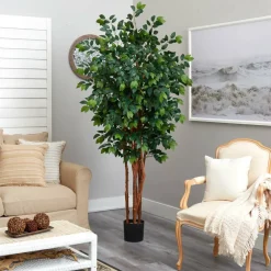 7ft. Potted Sakaki Silk Tree