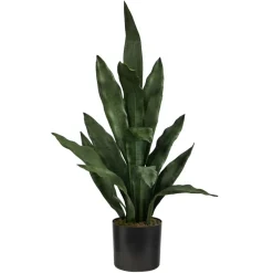 2ft. Potted Snake Plant