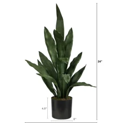 2ft. Potted Snake Plant