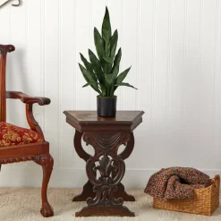 2ft. Potted Snake Plant