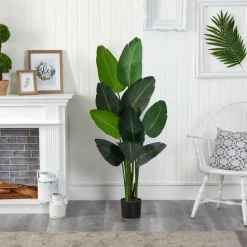 4.8ft. Potted Traveler's Palm Tree