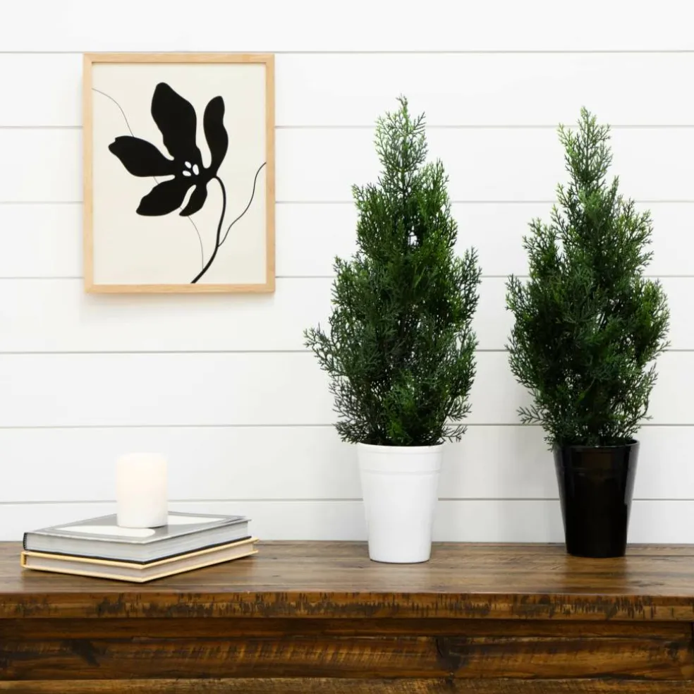 2ft. Potted UV Resistant Cedar Pine Trees, 2ct.