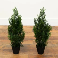 2ft. Potted UV Resistant Cedar Pine Trees, 2ct.