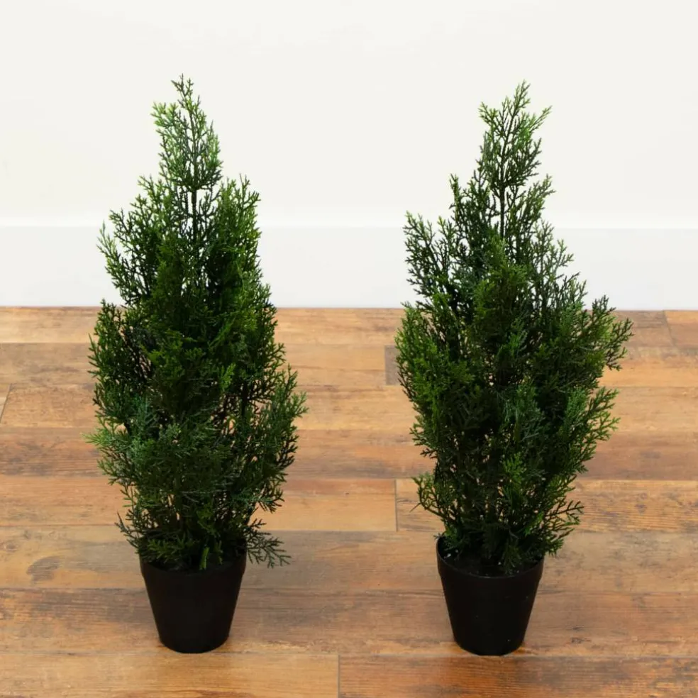 2ft. Potted UV Resistant Cedar Pine Trees, 2ct.