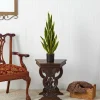 2.5ft. Potted Variegated Snake Plant