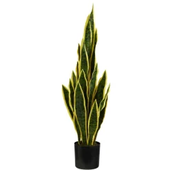 2.5ft. Potted Variegated Snake Plant