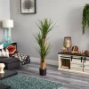 4.8ft. Potted Yucca Tree