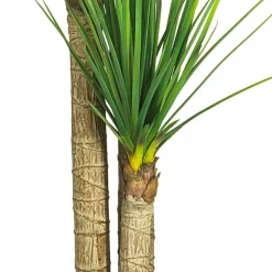 4.8ft. Potted Yucca Tree