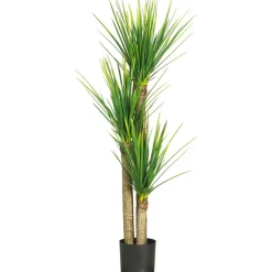 4.8ft. Potted Yucca Tree