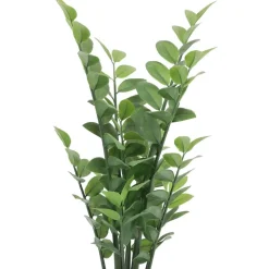 2.5ft. Potted Zanzibar Gem Plant by Ashland®