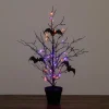 2ft. Pre-Lit Artificial Black Spooky Twig Tree with Bats and 40 Orange & Purple LED Lights