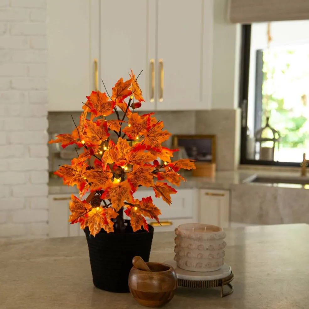 2ft. Pre-Lit Autumn Maple Artificial Fall Tree with Acorns & Pinecones and 18 Warm White LED Lights