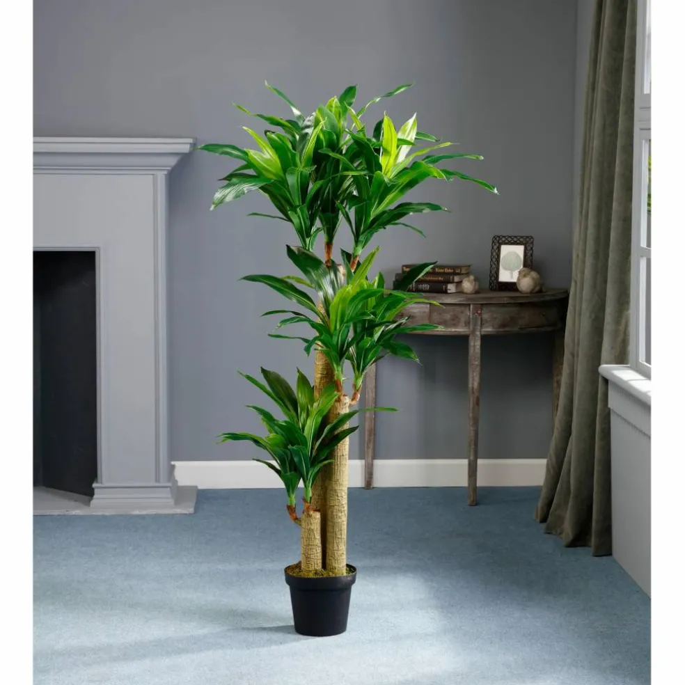 5 Ft. Tropical Dracaena Tree