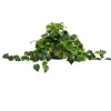 3.5ft. UV-Resistant Artificial Philodendron in Handmade Mexican Talavera Ceramic Planter