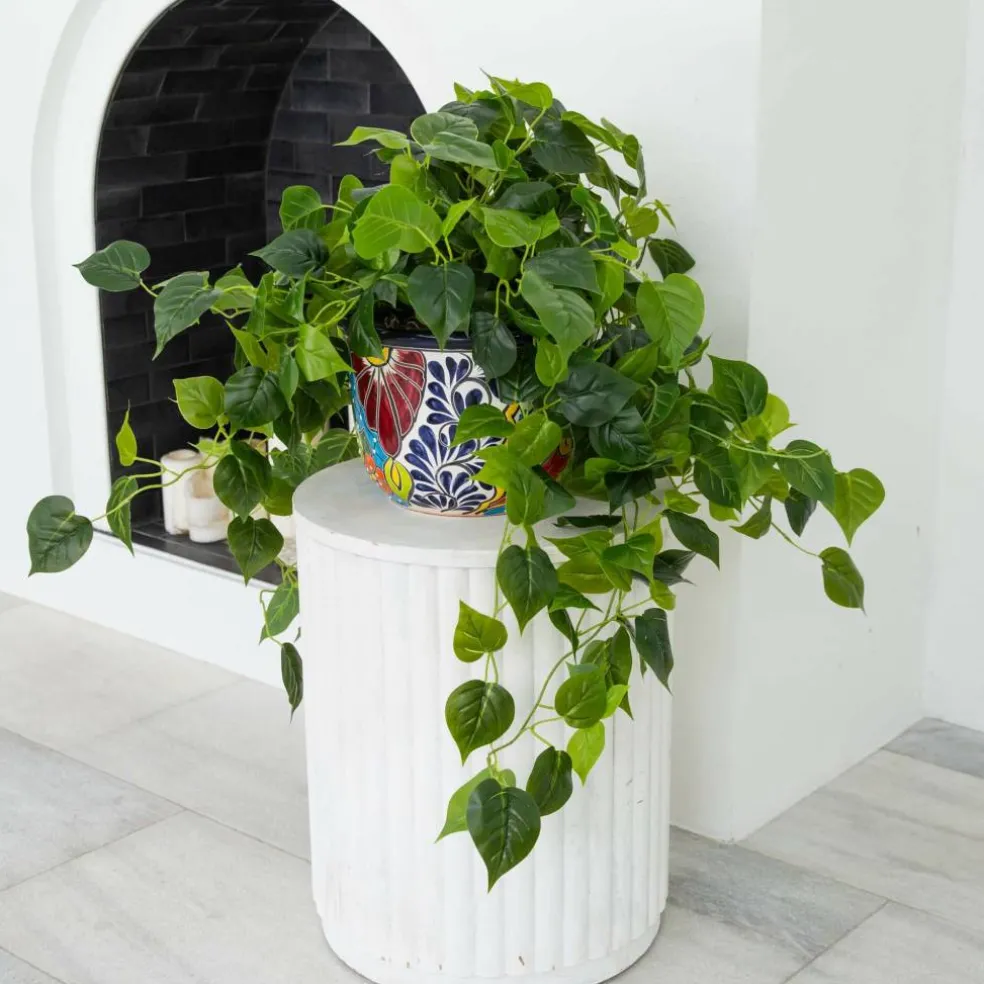 3.5ft. UV-Resistant Artificial Philodendron in Handmade Mexican Talavera Ceramic Planter
