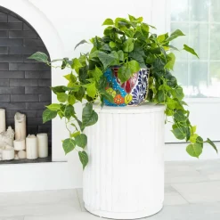 3.5ft. UV-Resistant Artificial Philodendron in Handmade Mexican Talavera Ceramic Planter