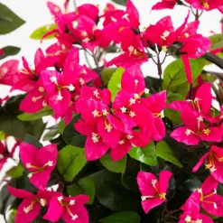 4ft. UV Resistant Artificial Spiral Bougainvillea Tree (Indoor/Outdoor)