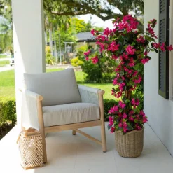 4ft. UV Resistant Artificial Spiral Bougainvillea Tree (Indoor/Outdoor)