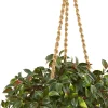 2.5ft. UV Resistant Mini Melon Artificial Plant in Hanging Basket