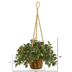 2.5ft. UV Resistant Mini Melon Artificial Plant in Hanging Basket