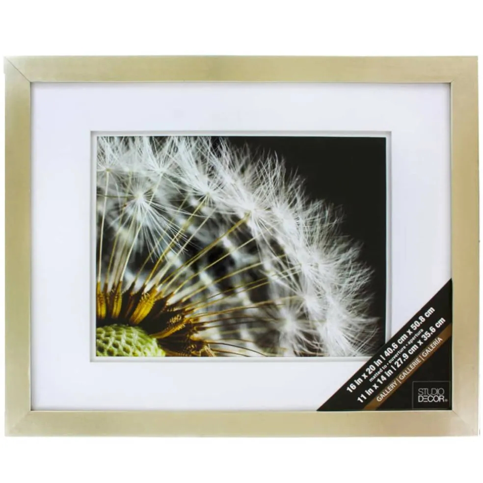 Gallery Champagne Wall Frame with Double Mat by Studio Décor®