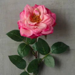 Garden Bloom Orlane Rose Stem Ashlandâ„¢