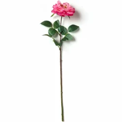 Garden Bloom Orlane Rose Stem Ashland™