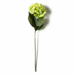 Garden Blooms Hydrangea Stem by Ashland®