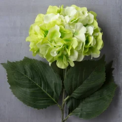 Garden Blooms Hydrangea Stem by Ashland®