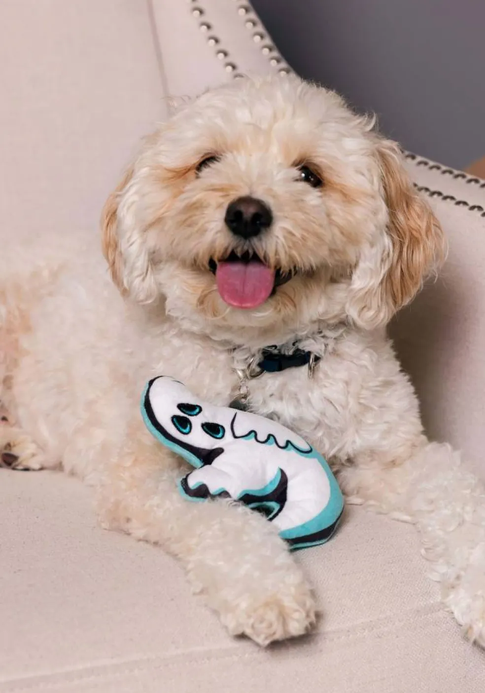 Ghost Squeaky Pet Toy