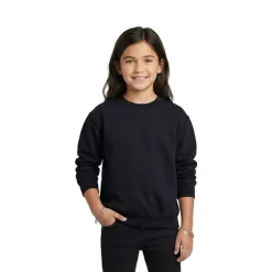 Gildan Youth Heavy Blend Crew Neck Sweatshirt Free Shipping