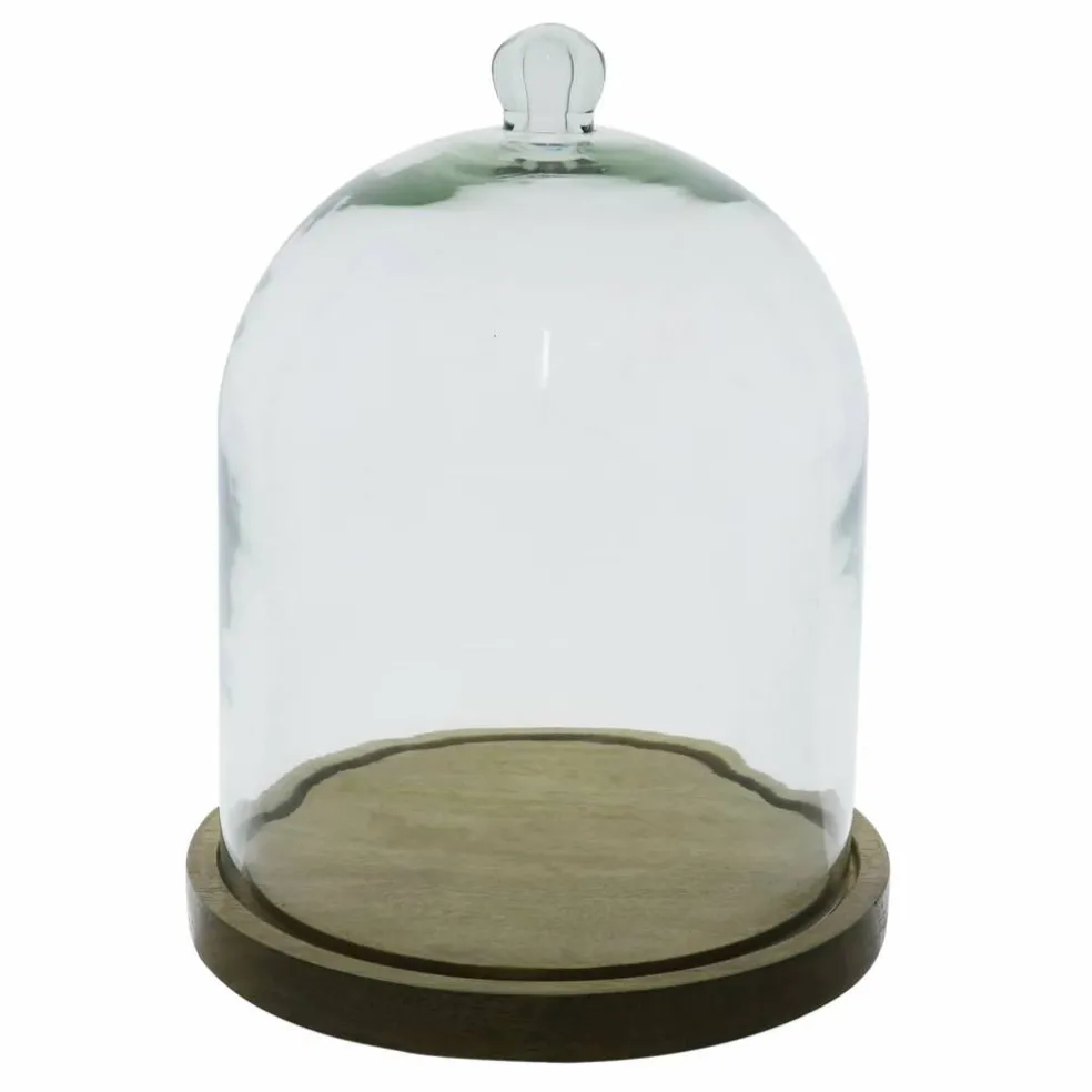 Glass Cloche & Round Wood Tray by Ashland®