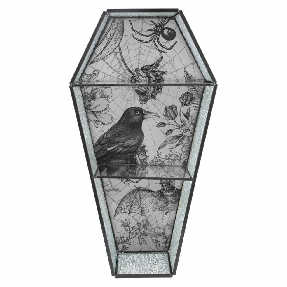 Glass Coffin Shelf by Ashland®